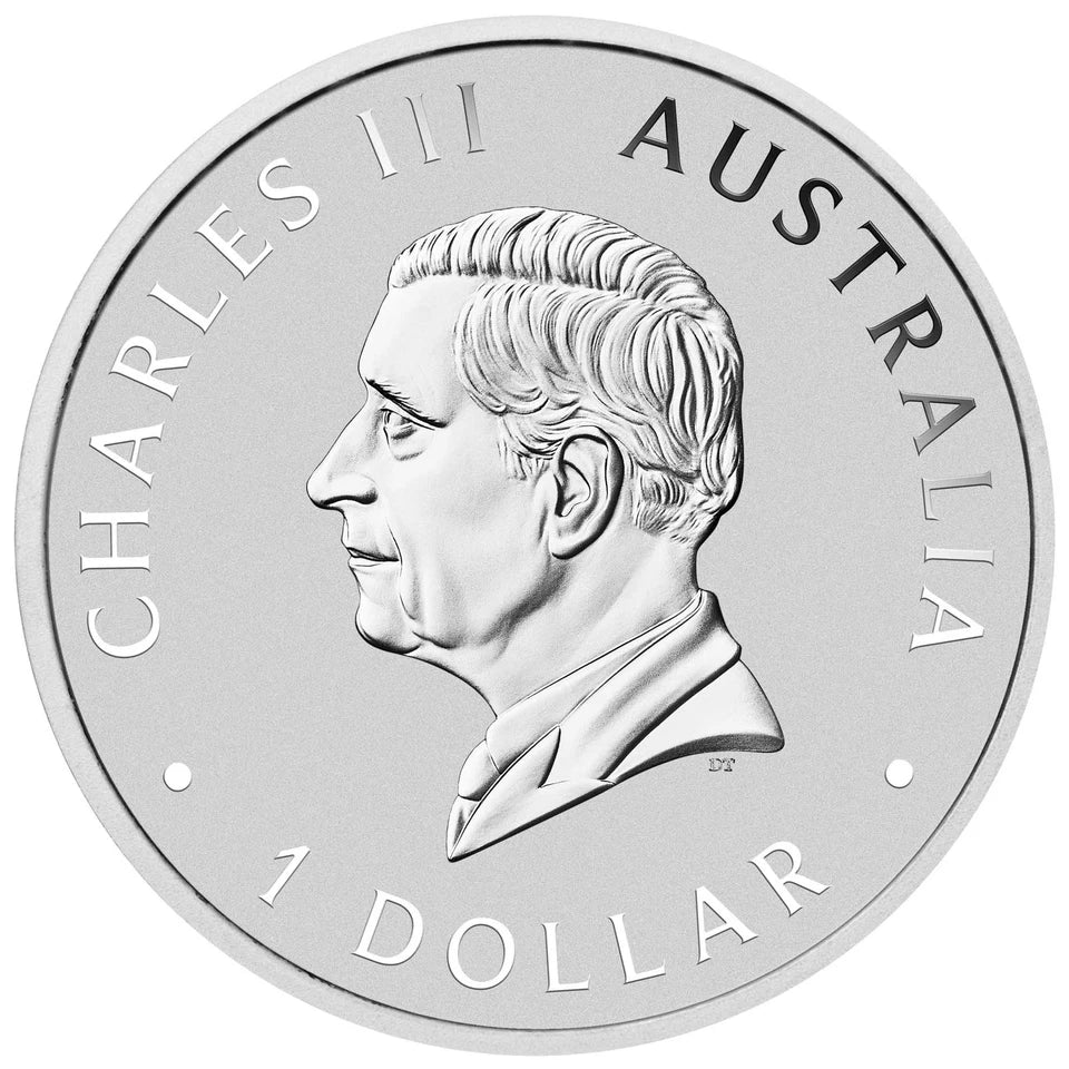 1 Troy Ounce 9999 Silver 2024 Perth Mint Wombat Bullion Coin In Capsule