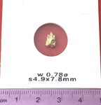Gold Nugget Australian 0.78 grams Natural Native Hand Prospected High Quality