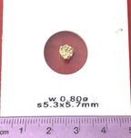 Gold Nugget Australian 0.8 grams Natural Native Hand Prospected High Quality