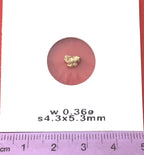 Gold Nugget Australian 0.36 grams Natural Native Hand Prospected High Quality