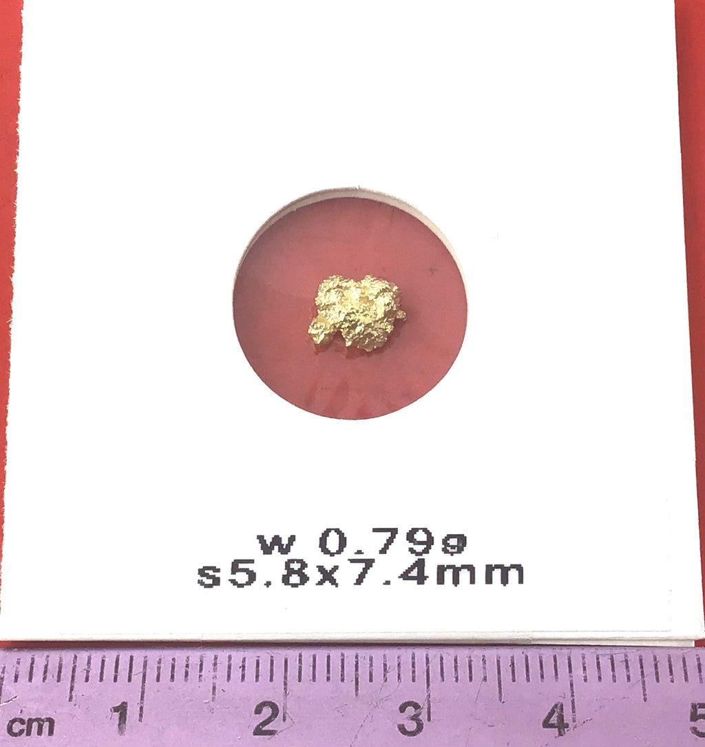 Gold Nugget Australian 0.79 grams Natural Native Hand Prospected High Quality
