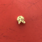Gold Nugget Australian 0.55 grams Natural Native Hand Prospected High Quality